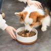imageMALACASA Dog Bowls Ceramic Dog Food and Water Bowls for Small Size Dogs 15 Cups Capacity Pet Bowl for Puppy ampamp Cats S15 CupsL6 Cups