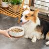 imageMALACASA Dog Bowls Ceramic Dog Food and Water Bowls for Small Size Dogs 15 Cups Capacity Pet Bowl for Puppy ampamp Cats S15 CupsM35 Cups